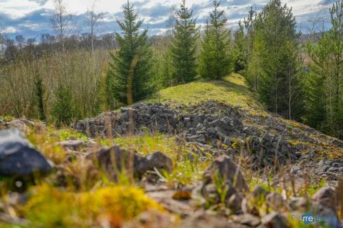 Biodiveristé dans la carrière